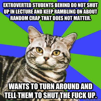 Extroverted students behind do not shut up in lecture and keep rambling on about random crap that does not matter. Wants to turn around and tell them to shut the fuck up. - Extroverted students behind do not shut up in lecture and keep rambling on about random crap that does not matter. Wants to turn around and tell them to shut the fuck up.  Introvert Cat