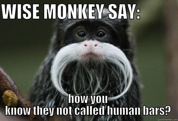 WISE MONKEY SAY:            HOW YOU KNOW THEY NOT CALLED HUMAN BARS? Misc