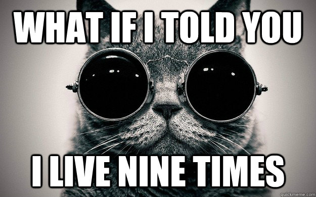 What if i told you I live nine times  Morpheus Cat Facts