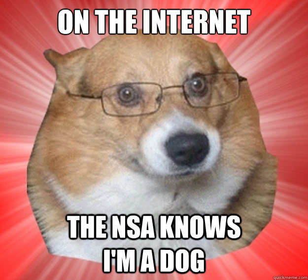 on the internet the nsa knows                   i'm a dog - on the internet the nsa knows                   i'm a dog  Misc
