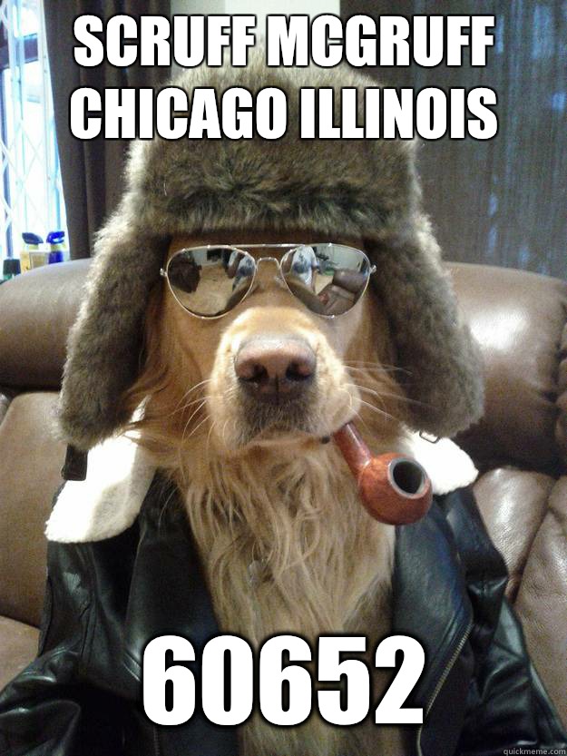 Scruff McGruff Chicago Illinois 60652 - Scruff McGruff Chicago Illinois 60652  Overly Suave Dog