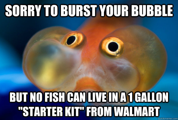 Sorry to burst your bubble but no fish can live in a 1 gallon 