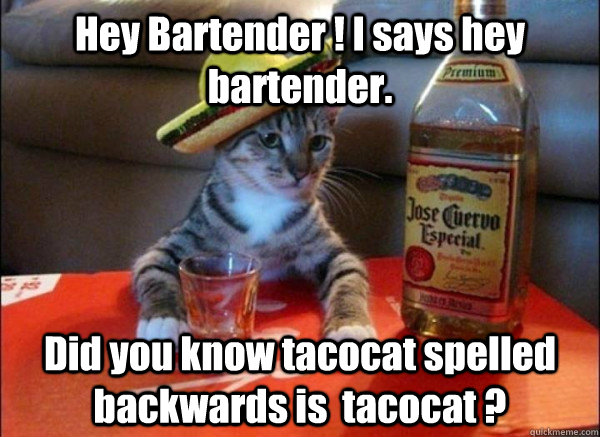 Hey Bartender ! I says hey bartender. Did you know tacocat spelled backwards is  tacocat ? - Hey Bartender ! I says hey bartender. Did you know tacocat spelled backwards is  tacocat ?  tequila cat