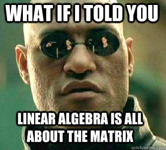 what if i told you Linear Algebra is all about the matrix  Matrix Morpheus