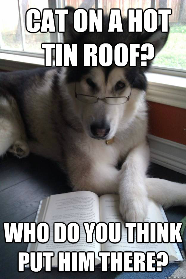 Cat on a hot tin roof? Who do you think put him there?  Condescending Literary Pun Dog