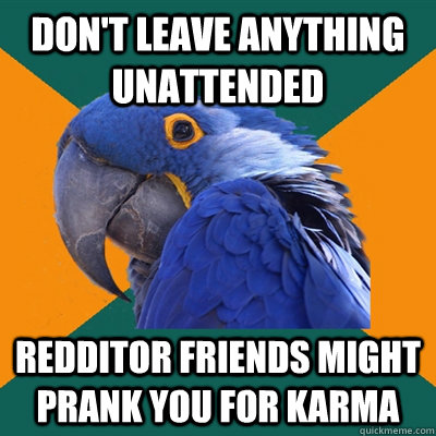 Don't leave anything unattended Redditor friends might prank you for karma  Paranoid Parrot