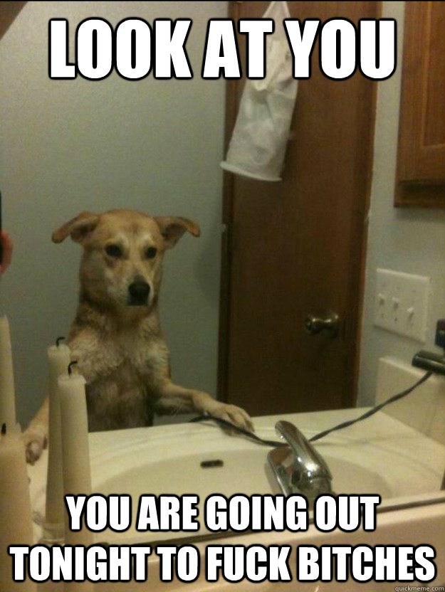 Look at You You are going out tonight to fuck bitches - Look at You You are going out tonight to fuck bitches  Misc