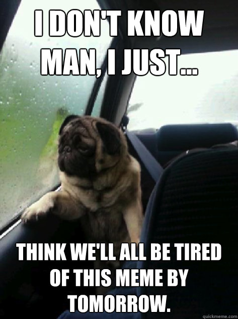 I don't know man, I just... think we'll all be tired of this meme by tomorrow. - I don't know man, I just... think we'll all be tired of this meme by tomorrow.  Introspective Pug