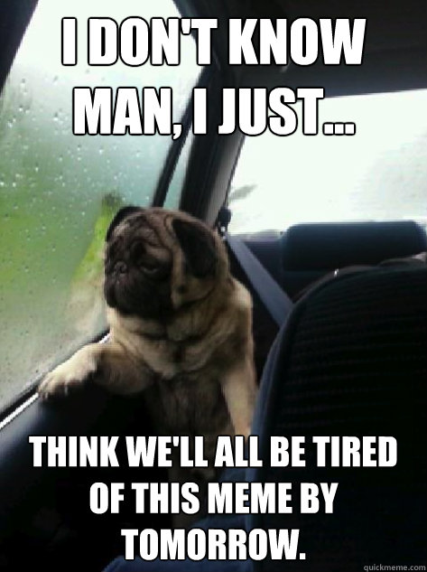 I don't know man, I just... think we'll all be tired of this meme by tomorrow.  Introspective Pug