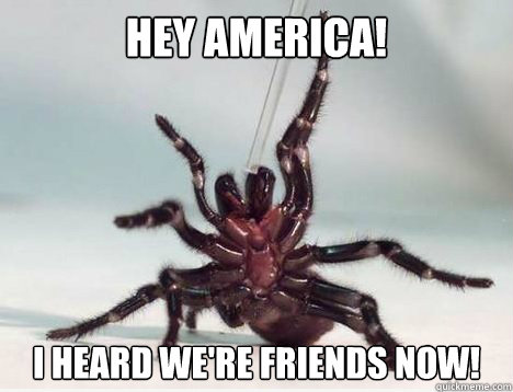 Hey america! i heard we're friends now! - Hey america! i heard we're friends now!  Ameristralia Spider