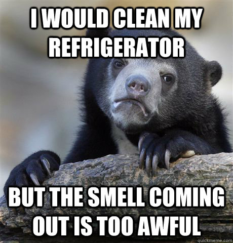 I would clean my refrigerator but the smell coming out is too awful  Confession Bear