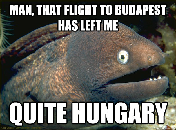 Man, that flight to budapest has left me  quite Hungary  Bad Joke Eel