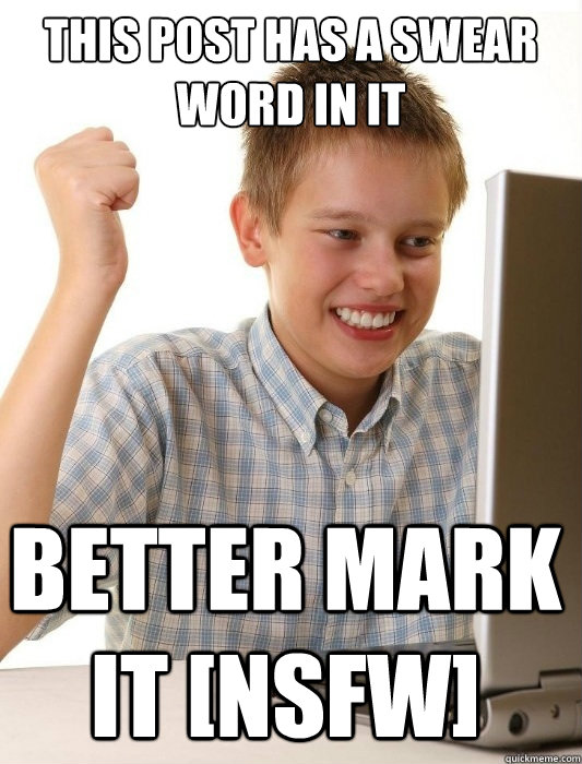 This post has a swear word in it better mark it [NSFW]  First Day on the Internet Kid