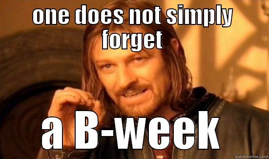 ONE DOES NOT SIMPLY FORGET A B-WEEK Boromir