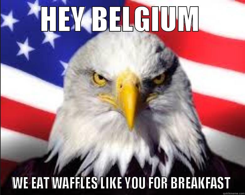 HEY BELGIUM WE EAT WAFFLES LIKE YOU FOR BREAKFAST Misc