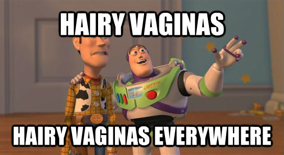 HAIRY VAGINAS HAIRY VAGINAS EVERYWHERE - HAIRY VAGINAS HAIRY VAGINAS EVERYWHERE  Toy Story Everywhere