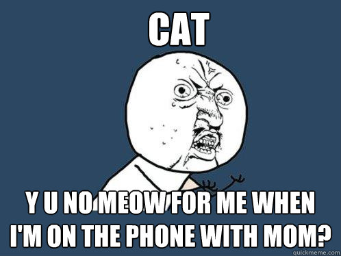 cat y u no meow for me when i'm on the phone with mom?  Y U No