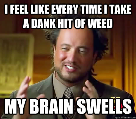 I FEEL LIKE EVERY TIME I TAKE A DANK HIT OF WEED MY BRAIN SWELLS - I FEEL LIKE EVERY TIME I TAKE A DANK HIT OF WEED MY BRAIN SWELLS  Anciet Alien