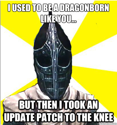 I used to be a Dragonborn like you... But then I took an update patch to the knee - I used to be a Dragonborn like you... But then I took an update patch to the knee  Whiterun Guard