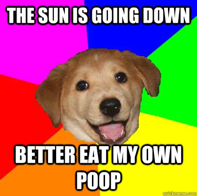 The sun is going down Better eat my own poop  Advice Dog