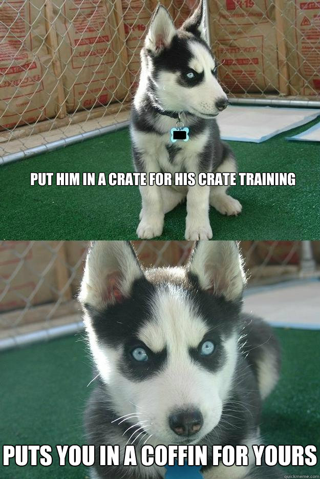 Put him in a crate for his crate training puts you in a coffin for