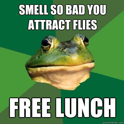 smell so bad you attract flies free lunch  Foul Bachelor Frog