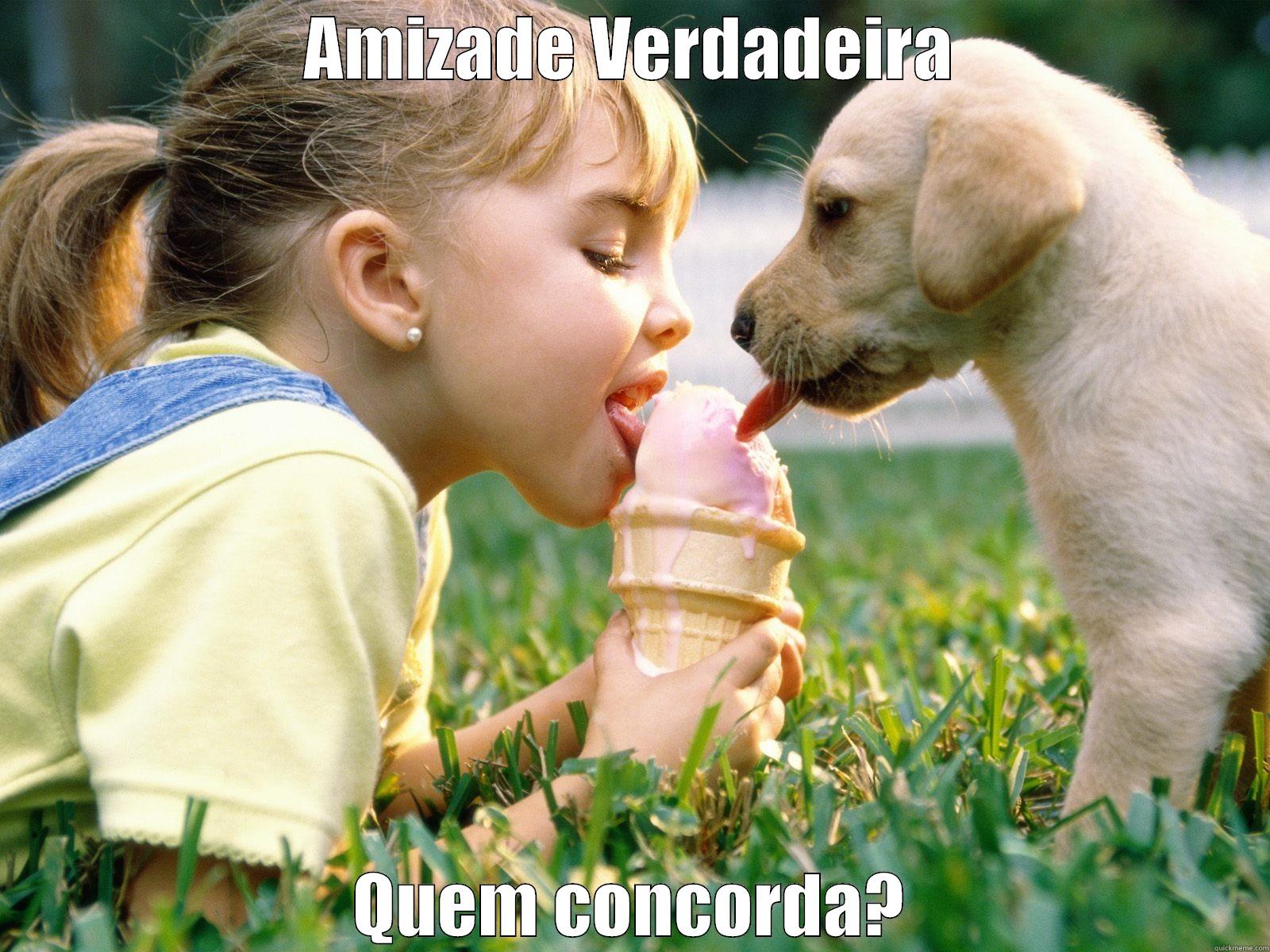 AMIZADE VERDADEIRA QUEM CONCORDA? Misc