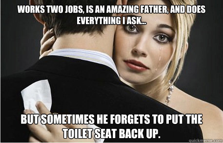 Works two jobs, is an amazing father, and does everything I ask... But sometimes he forgets to put the toilet seat back up.  