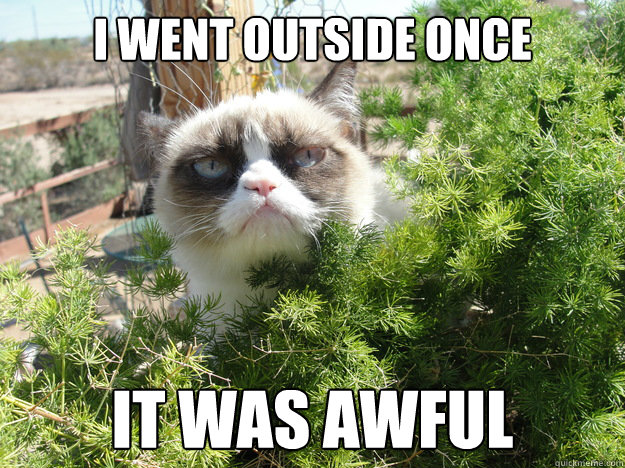 I went outside once It was awful - I went outside once It was awful  Misc