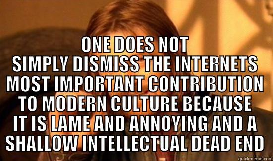  ONE DOES NOT SIMPLY DISMISS THE INTERNETS MOST IMPORTANT CONTRIBUTION TO MODERN CULTURE BECAUSE IT IS LAME AND ANNOYING AND A SHALLOW INTELLECTUAL DEAD END Boromir