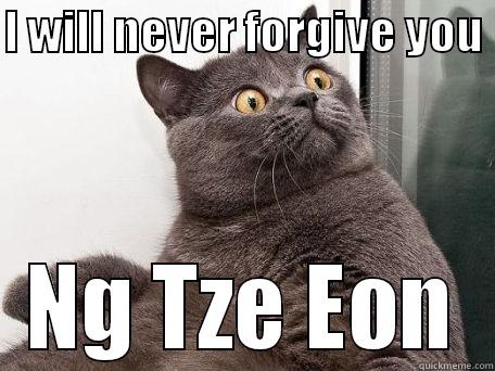 I WILL NEVER FORGIVE YOU  NG TZE EON conspiracy cat