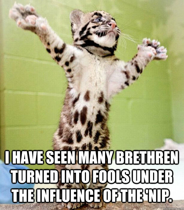 I have seen many brethren turned into fools under the influence of the 'nip.  