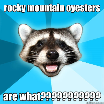 rocky mountain oyesters are what???????????  Lame Pun Coon