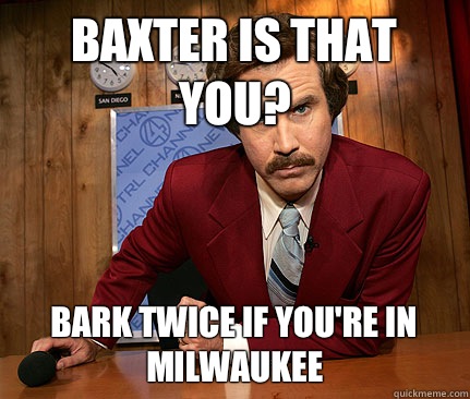 Baxter is that you? Bark twice if you're in milwaukee - Baxter is that you? Bark twice if you're in milwaukee  Misc