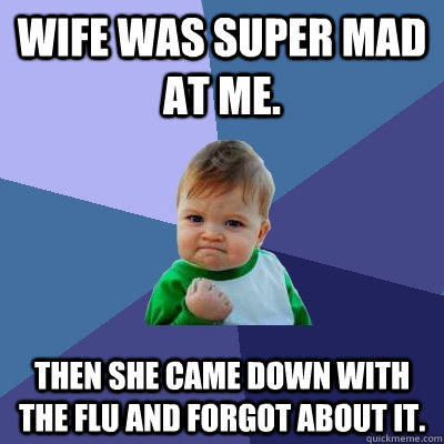 Wife was super mad at me. Then she came down with the flu and forgot about it.  Success Kid
