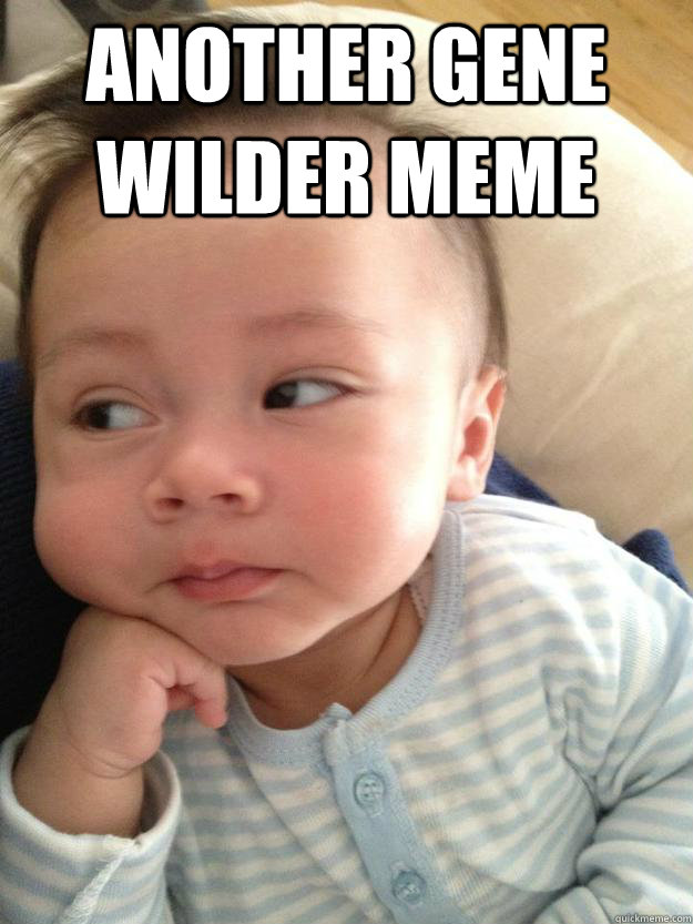 Another gene wilder meme  - Another gene wilder meme   Boring!