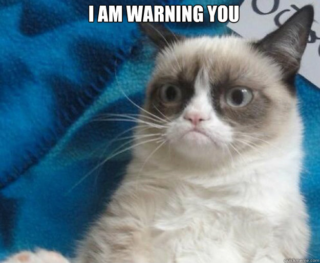 i am warning you   Grumpy Cat No