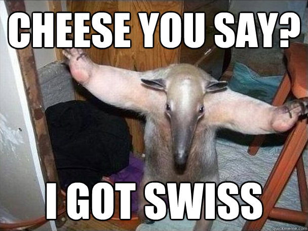 cheese you say? i got swiss  I got this