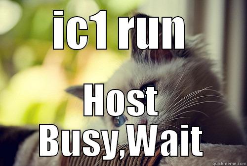 IC1 RUN HOST BUSY,WAIT First World Problems Cat