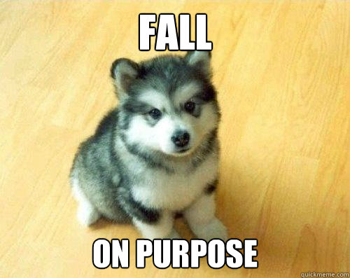 fall on purpose  Baby Courage Wolf
