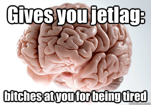 Gives you jetlag: bitches at you for being tired  Scumbag Brain