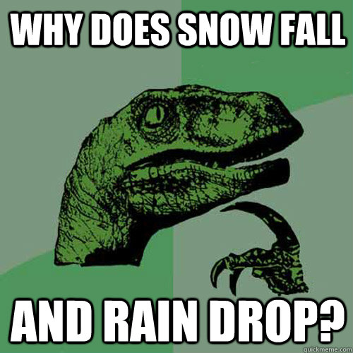 Why does snow fall and rain drop? - Why does snow fall and rain drop?  Philosoraptor