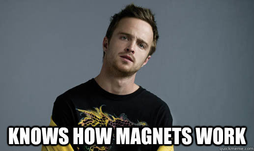  Knows how magnets work  Jesse Pinkman Loves the word Bitch