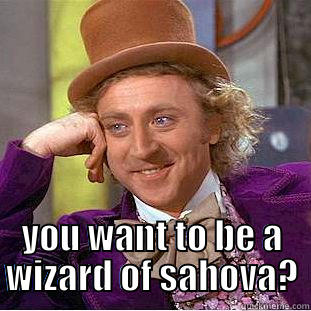  YOU WANT TO BE A WIZARD OF SAHOVA? Condescending Wonka