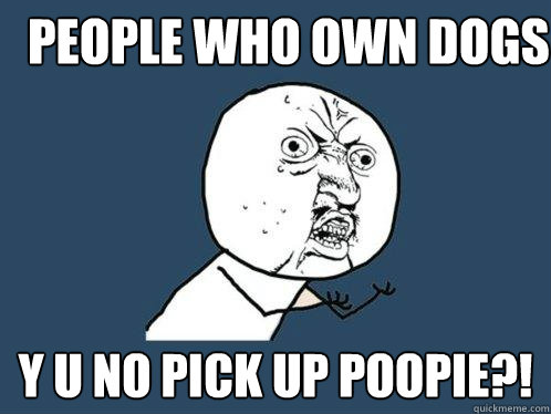 People who own dogs Y U no pick up poopie?!  Y U No