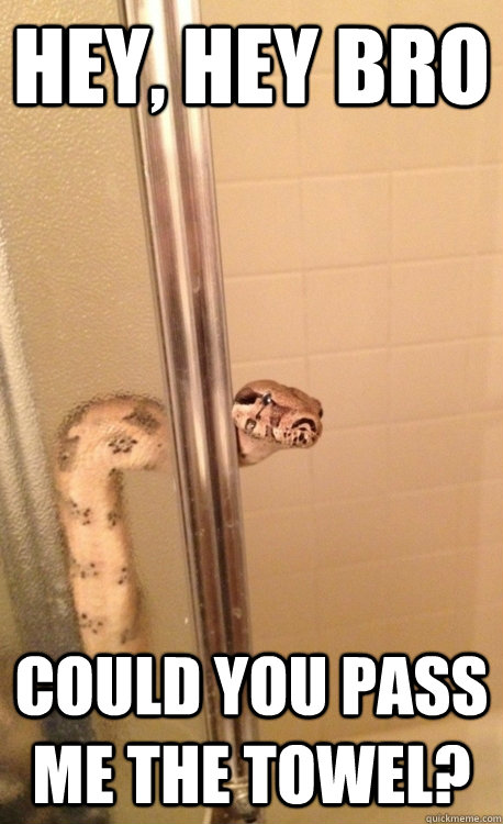 Hey Bro Could You Pass Me The Towel Shower Snake Quickmeme Hey Bro Could You Pass Me The Towel
