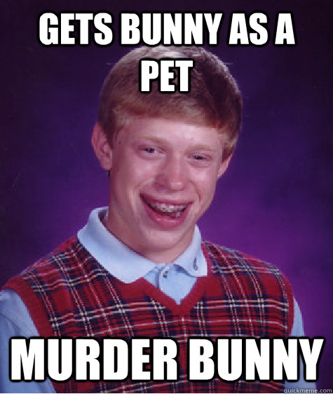 gets bunny as a pet murder bunny  Bad Luck Brian