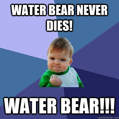 Water bear never dies! WATER BEAR!!!  Success Kid