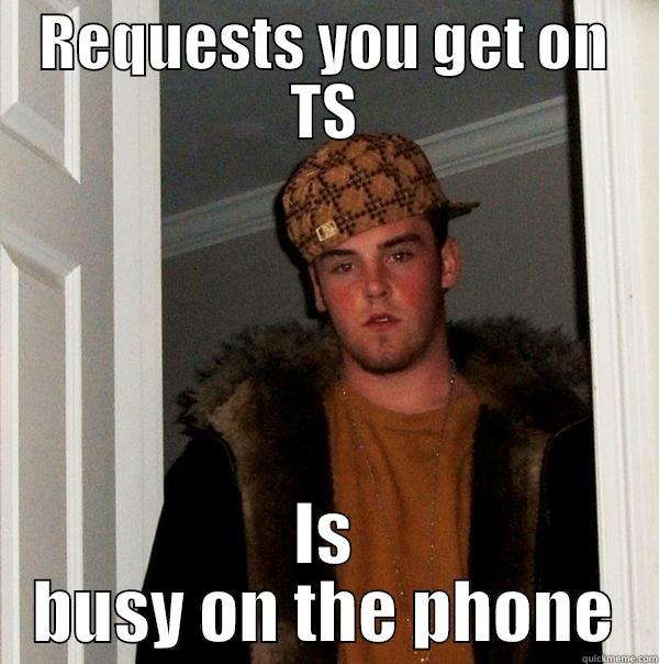 REQUESTS YOU GET ON TS IS BUSY ON THE PHONE Scumbag Steve
