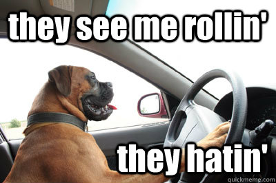 they see me rollin' they hatin' - they see me rollin' they hatin'  Dog driving